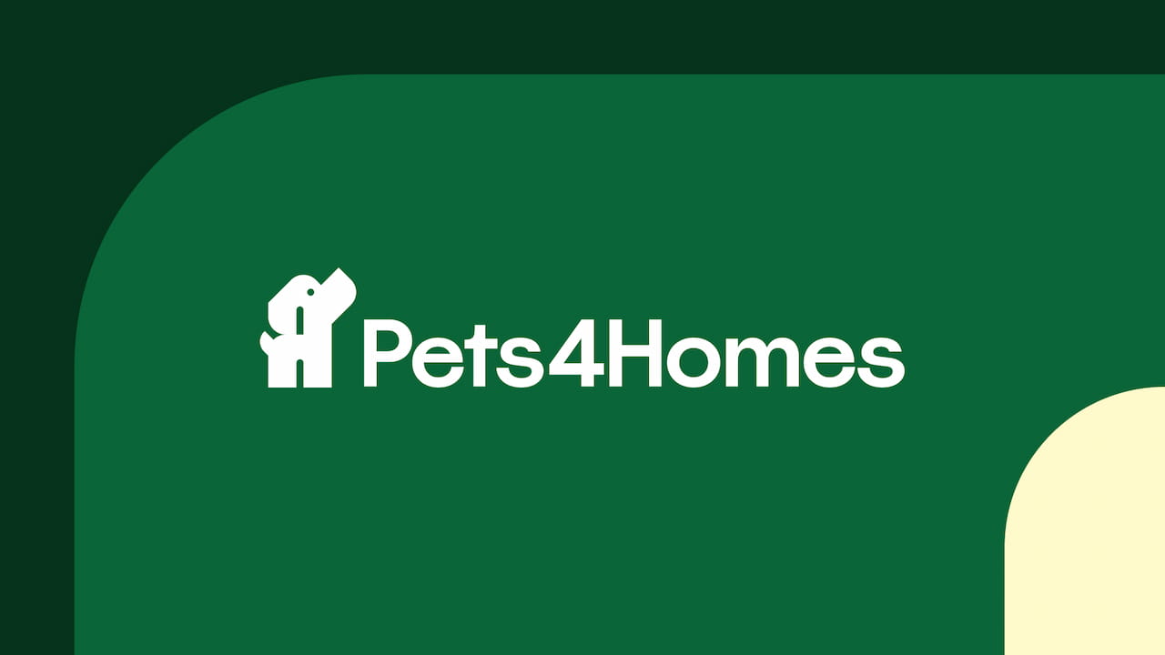 How to create the perfect Pets4Homes advert and find loving homes